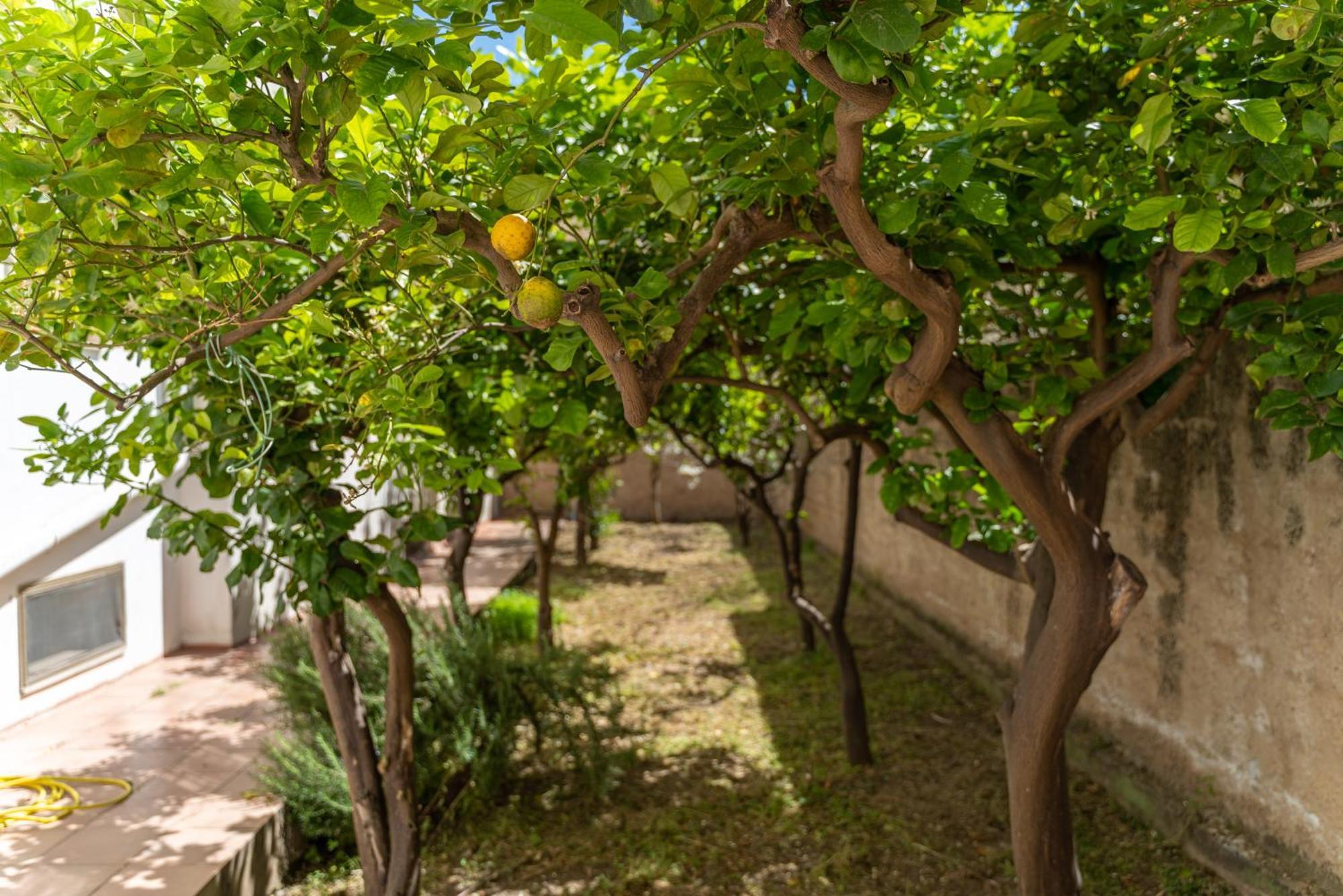 Casa Palmavera Alghero