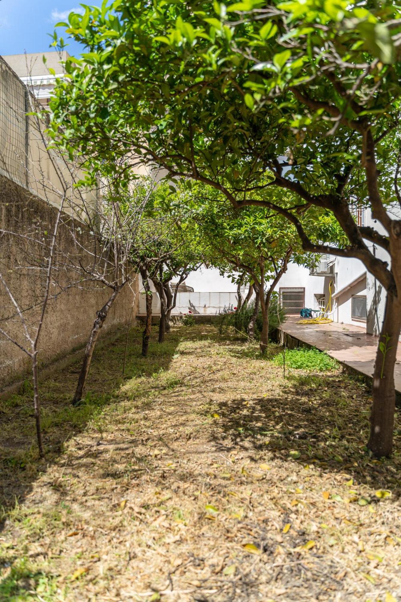 Casa Palmavera *